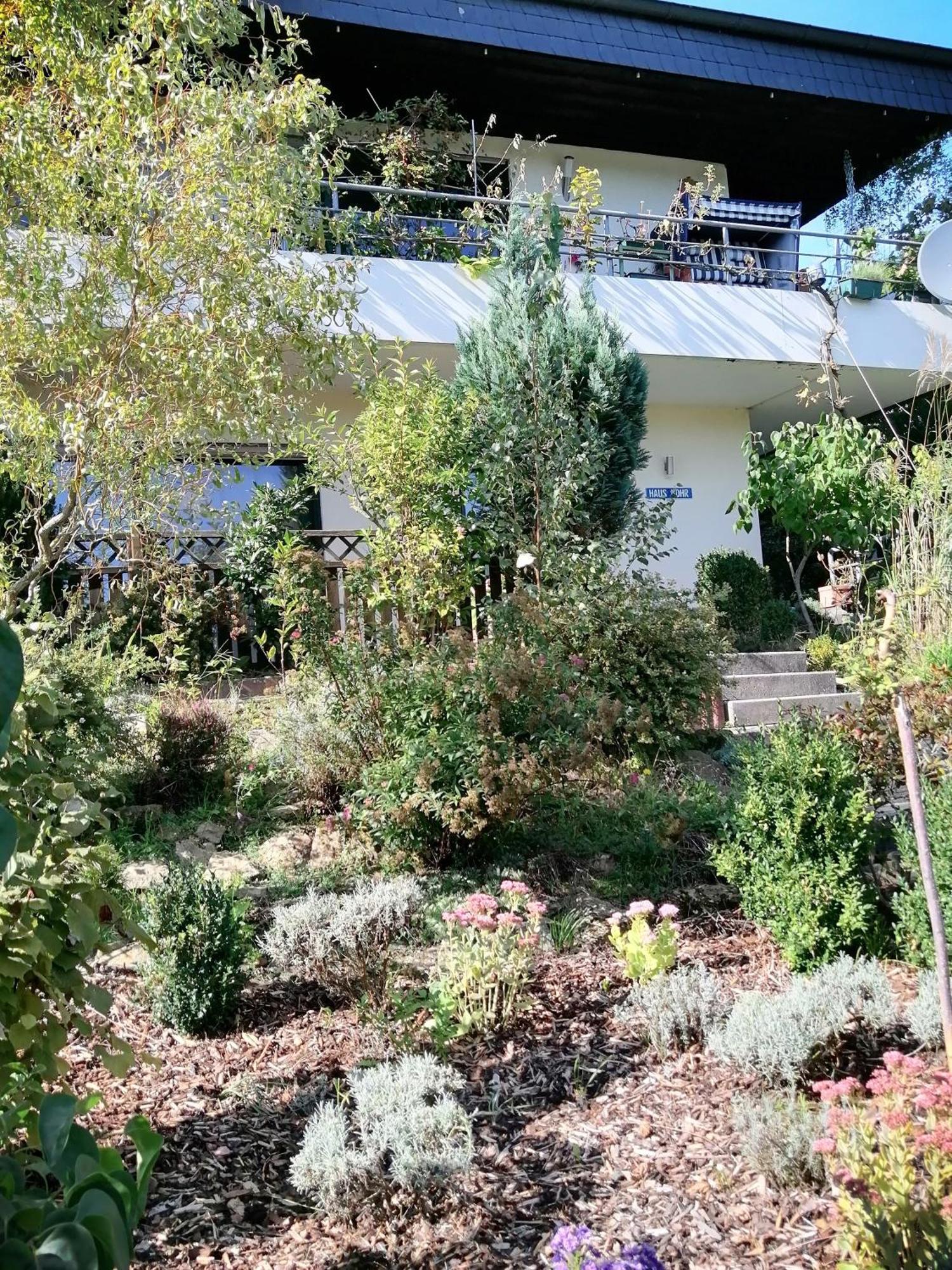 Haus Mohr - Ferienwohnung Im Taunus Weilmunster Екстер'єр фото